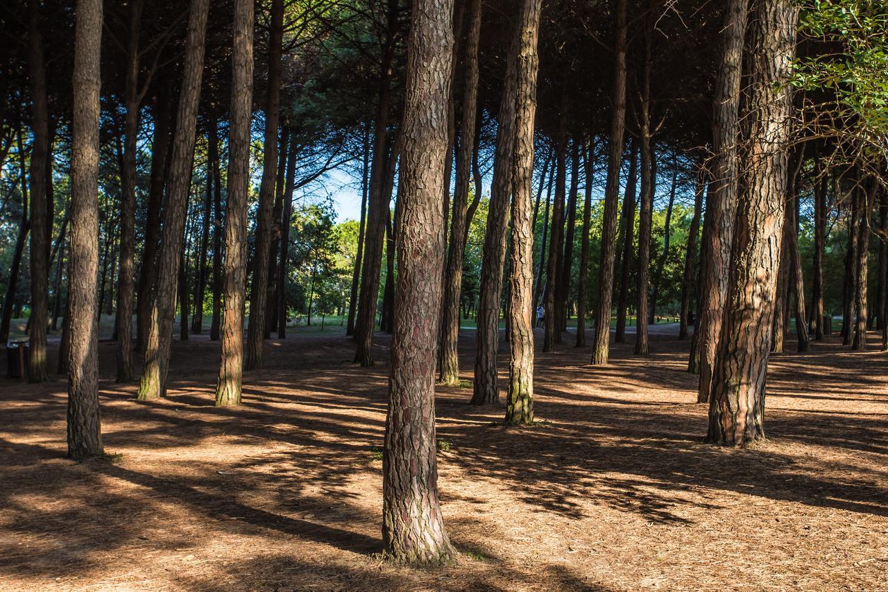 Hotel Garden Milano Marittima Dış mekan fotoğraf