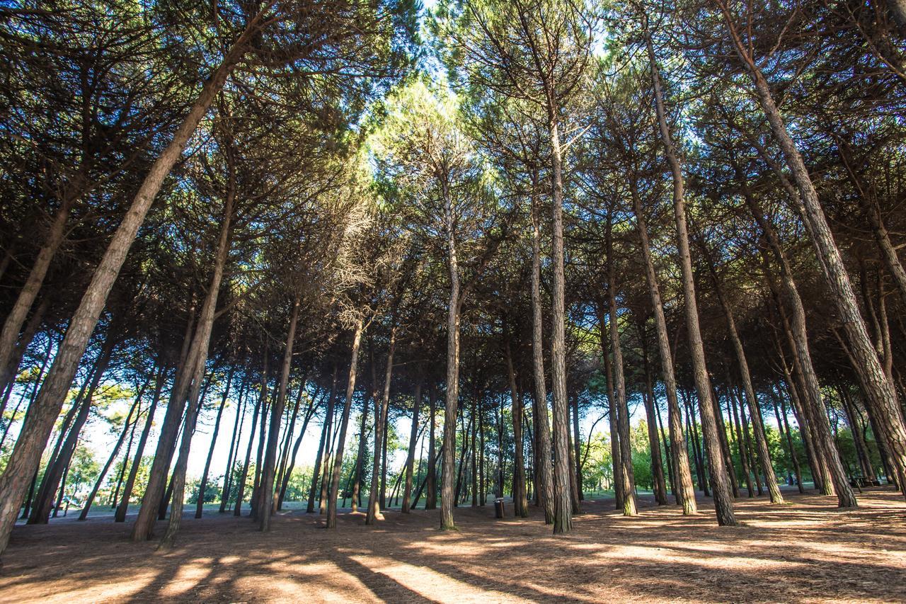 Hotel Garden Milano Marittima Dış mekan fotoğraf